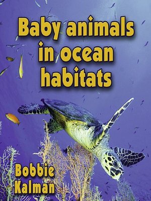 cover image of Baby Animals In Ocean Habitats